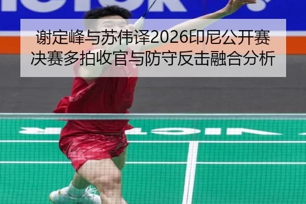 xie-ding-feng-yu-su-wei-yi-yin-ni-gong-kai-sai-jue-sai-duo-pai-shou-guan-yu-fang-shou-fan-ji-rong-he-fen-xi-2-553.jpg